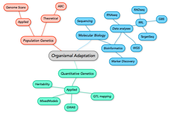 Researc_organismal_adaptation